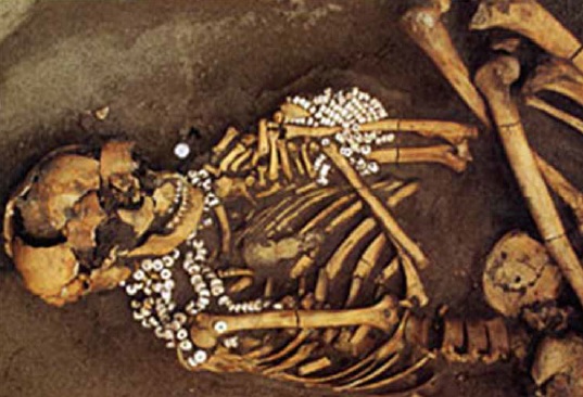 人骨と貝製平玉の副葬品がみつかった墓