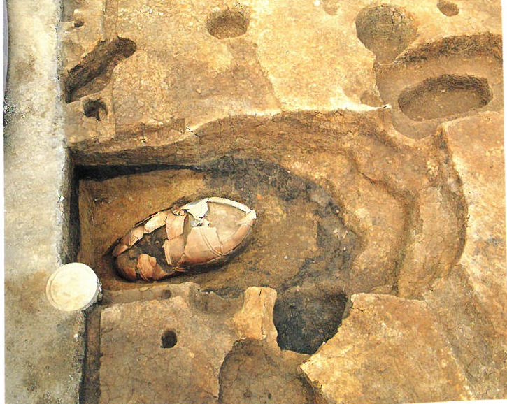 須玖岡本遺跡 福岡県 行ってみよう〜全国遺跡・博物館マップ〜 全国こども考古学教室