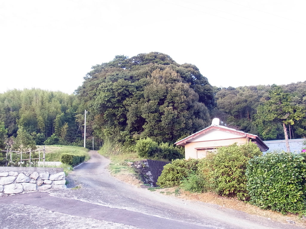 遠景