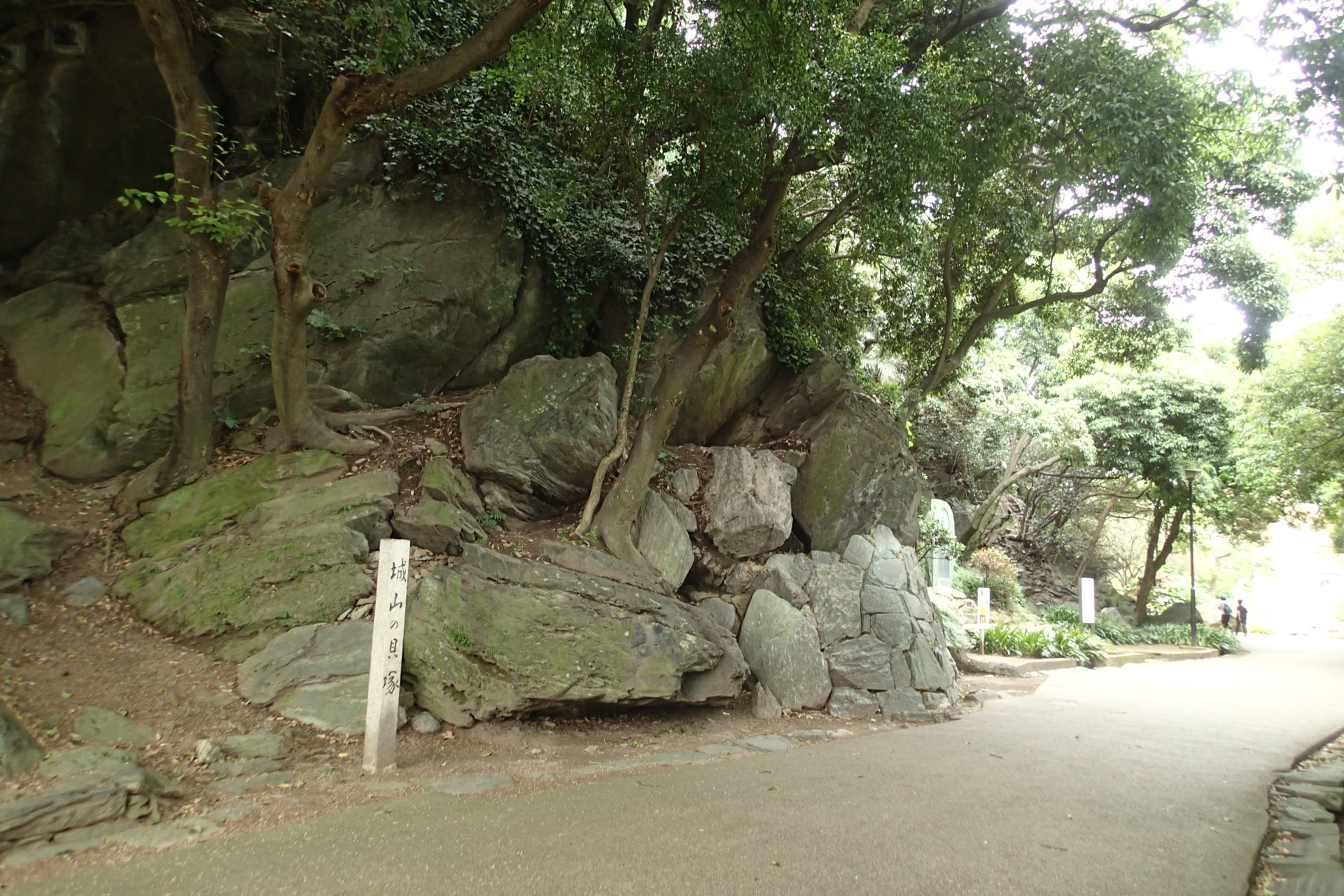 取掛西貝塚 文化遺産オンライン