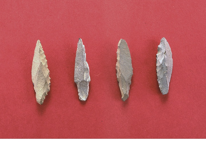 国府遺跡 大阪府 行ってみよう〜全国遺跡・博物館マップ〜 全国こども考古学教室